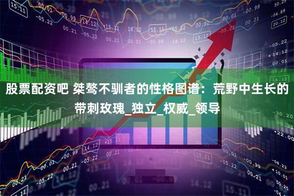 股票配资吧 桀骜不驯者的性格图谱：荒野中生长的带刺玫瑰_独立_权威_领导